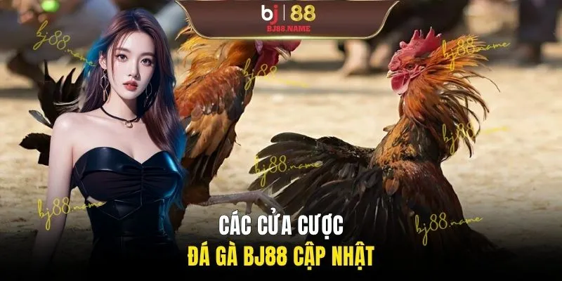 Các cửa cược đá gà BJ88 cập nhật