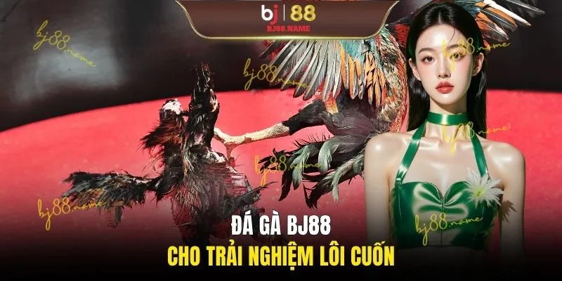 Đá gà BJ88 cho trải nghiệm lôi cuốn